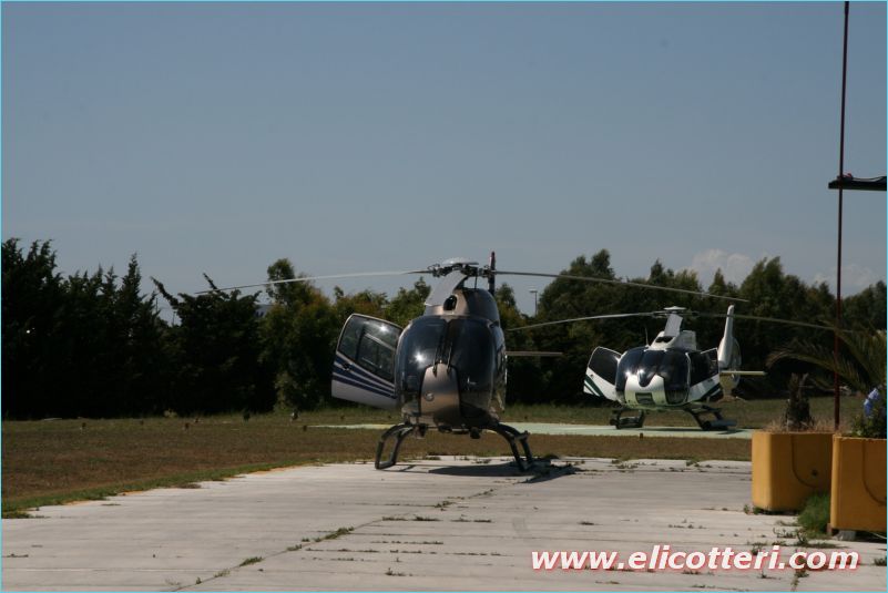 elifoto (214)